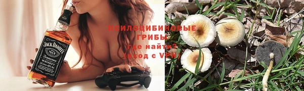 прущая мука Коряжма