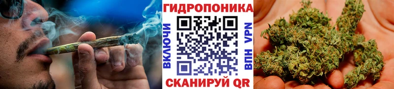 Купить где Юрьевец МАРИХУАНА Amnesia